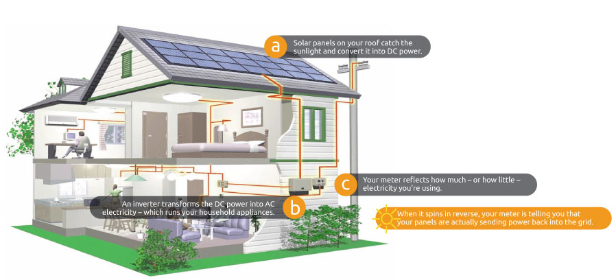 The santa cruz solar bottom line: an investment in solar energy saves 
