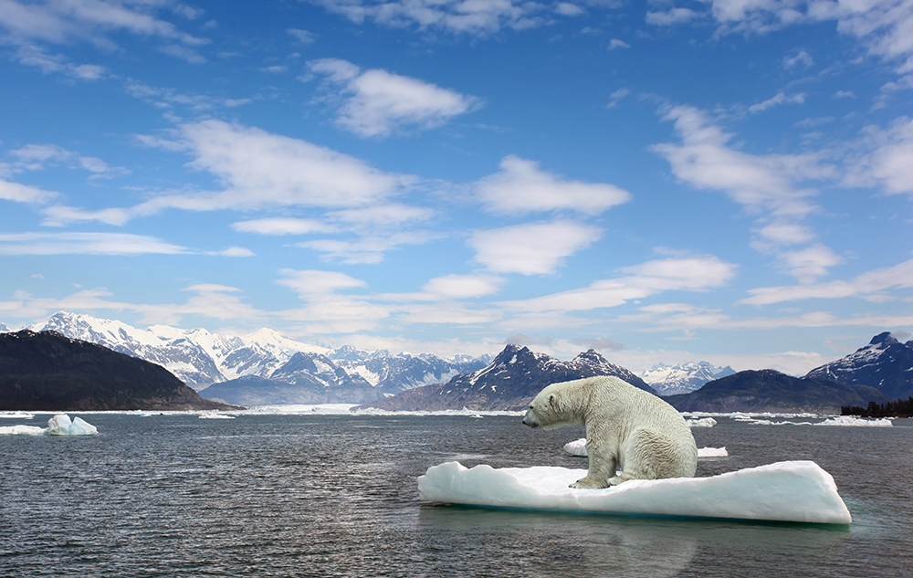 Human Activity “Unequivocally” Causing Climate Change